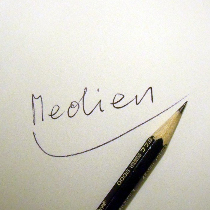 Przemek Zajfert - Medien