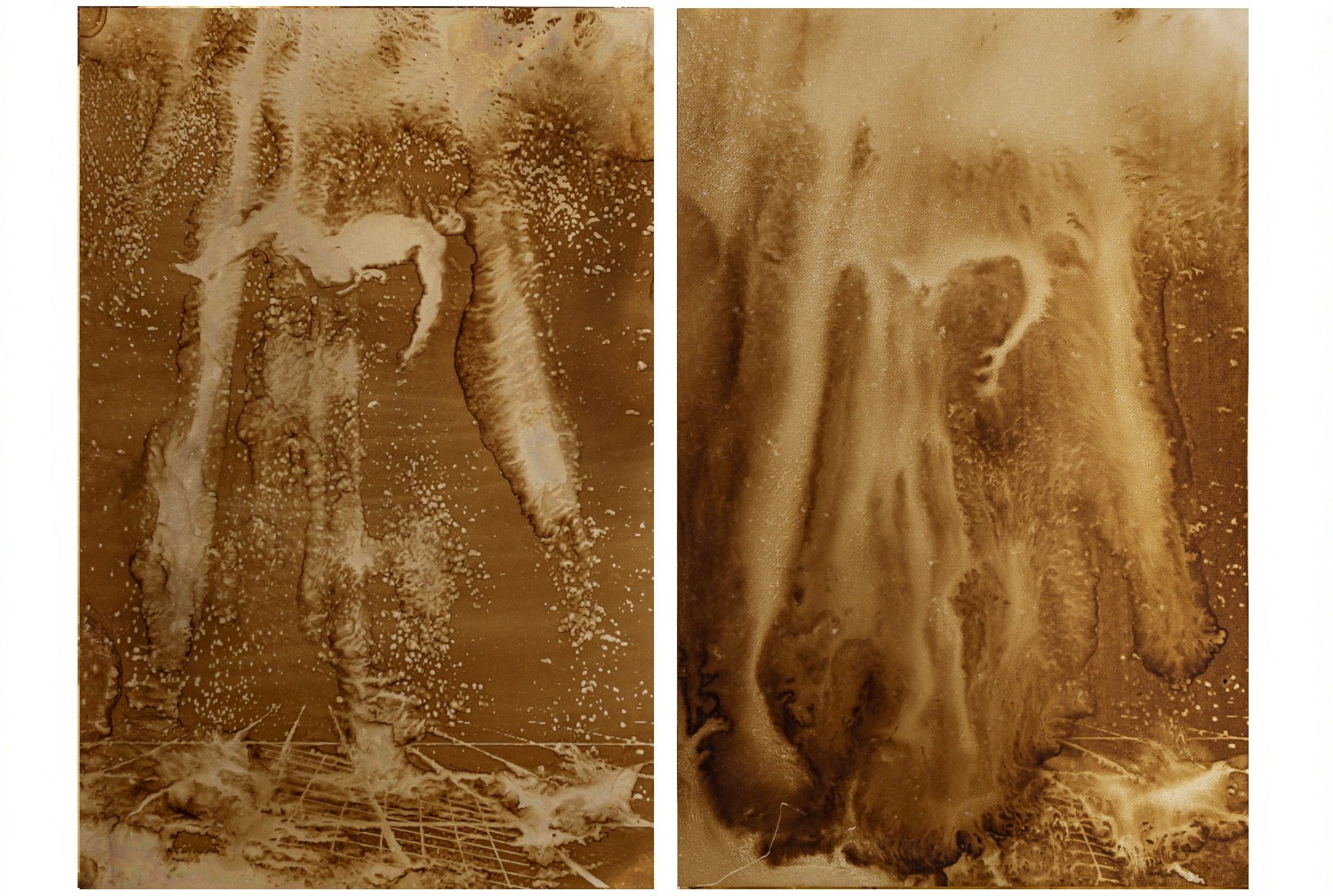 Heliographie, Lazarus and Lazarus, 2019 2x20x27cm (Passepartout 60x80cm) Metal Plate, Lavender Oil, Bitume de Judée