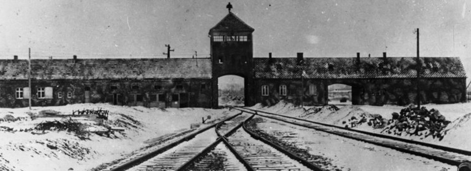 Konzentrationslager Auschwitz-Birkenau, Rampeufnahme-1945 von Stanislaw Mucha