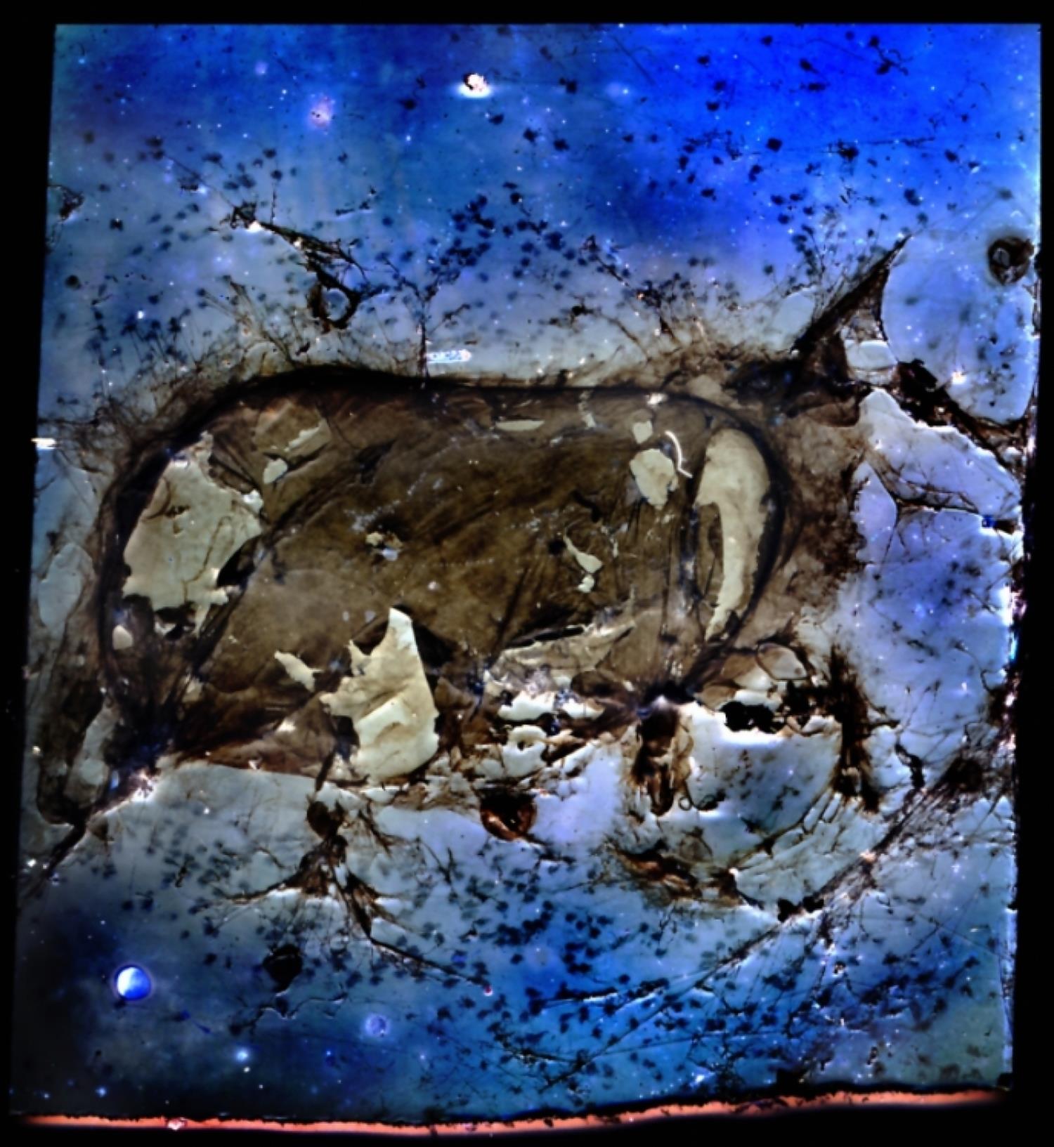 die-wohl-am-laengsten- belichtete-Fotografie-der-Welt-bild Wie ein Vogel und eine Spinne die wohl am längsten belichtete Fotografie der Welt schufen
Eine Geschichte über Zeit, Licht und das fragile Gleichgewicht zwischen Kontrolle und Natur.