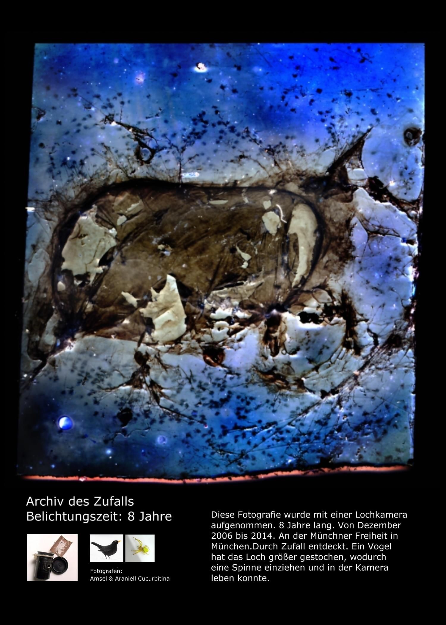 die-wohl-am-laengsten- belichtete-Fotografie-der-Welt-ganz Wie ein Vogel und eine Spinne die wohl am längsten belichtete Fotografie der Welt schufen Eine Geschichte über Zeit, Licht und das fragile Gleichgewicht zwischen Kontrolle und Natur.