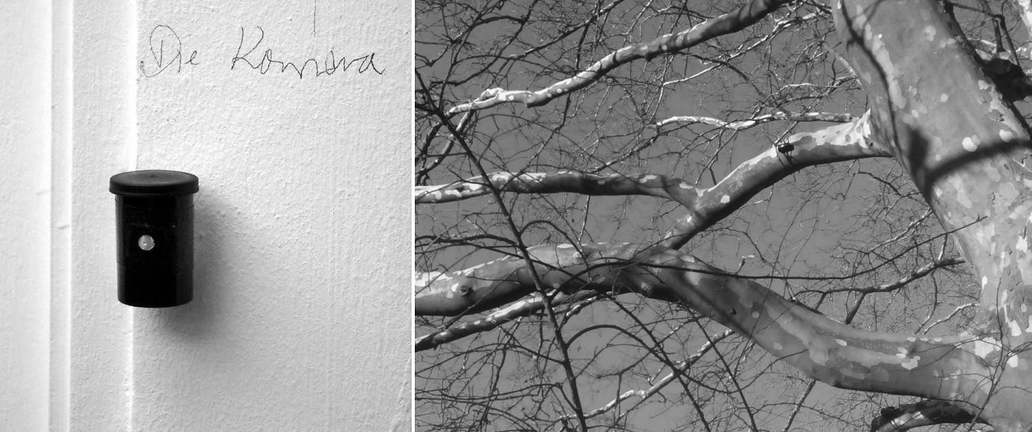 die-wohl-am-laengsten- belichtete-Fotografie-der-Welt-lochkamera Wie ein Vogel und eine Spinne die wohl am längsten belichtete Fotografie der Welt schufen Eine Geschichte über Zeit, Licht und das fragile Gleichgewicht zwischen Kontrolle und Natur.